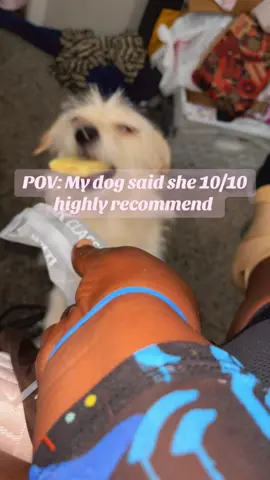 #snack #pet #fyp #trending #tiktokmademebuyit  