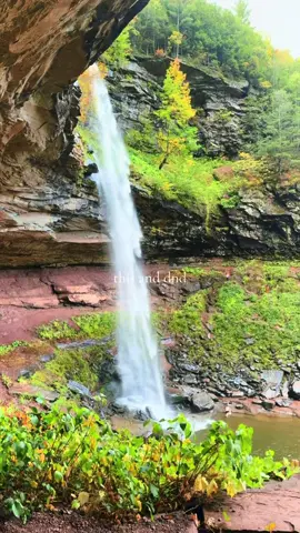 the beauty of livingg #waterfallhike #film #fyp @giaeditsit @Mikey 