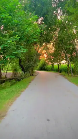 #daily #Vlog #viralvideosofficial #unfreezemyacount #growmyaccount 