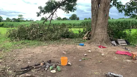 #xuhuong Mưa báo đường khó đi quá 😌