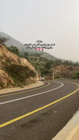 🌷🌷 #fyp #foryoupage #هروب #جبل_منجد 