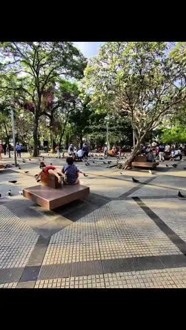 😏#santacruzdelasierra🇳🇬 #elprincipetv #camaraoculta #videoviral #bromas 