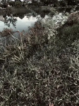 外表和家庭背景，是这个社会评判一个人的两个标准！Ngoai hinh va gia canh la hai thứ mà xã hội này nhìn vào để phán xét một con người! #xuhuong #tamtrang 