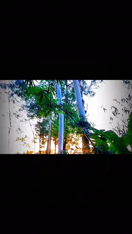 🥰🥰🥰###ভাইরাল_ভিডিওকপি_লিংক_করো_প্লিজ_প্লিজ ##ভিডিওটি_শেষ_পর্যন্ত_দেখো 