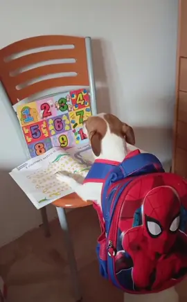 #fyp #🇩🇿🇲🇦🇹🇳 