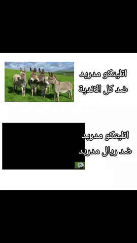 #كرة_قدم #الشعب_الصيني_ماله_حل😂😂 #مالي_خلق_احط_هاشتاقات #tiktok #لايكات 