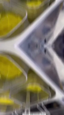 احنا الاصل والاول 🫶 عشاق الاكل الايطالي جبنالكم ايطاليا على حيفا باطيب باستا من عجل جبنة برمجان 😋  #الشعب_الصيني_ماله_حل😂😂 #عربالداخل #عرب48 #اكل_شارع #اكلايطالي #מרכזהכרמל #חיפה #פודטראק #فودتراك #حيفا #الكرمل_حيفا👑 #אוכלטעים #اكلطيب #פרמזן #يامي 