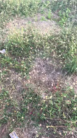 Nyore kuy#cirebon #4u #senjasorehari #fyp #viral 