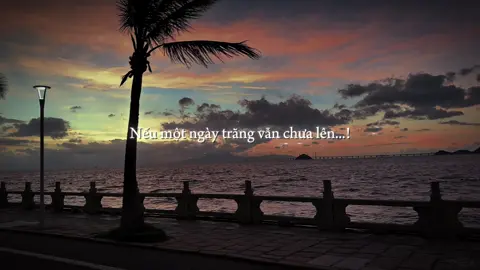 Sao một mình cứ mãi cô đơn...!#fyp #lyrics #09th02_8 #tamtrang #thinhhanh 