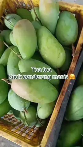 Lebih baik itu dimanapun co Kiojay / buah apapun , chat seller dulu ya ka🫶 #fyppppppppppppppppppppppp 
