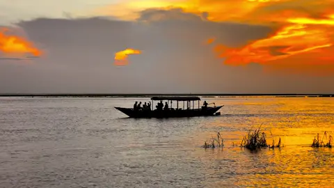 ❤️🎶 “সখী তোর প্রেম করিও না — প্রেমের আগুনে জ্বলে গেলে আর ফিরে আসা যায় না…” 🌸✨