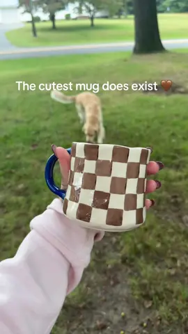 Amazon for the win ! Linked in my Amazon store front 🤎🍂 #fyp #amazonfinds 