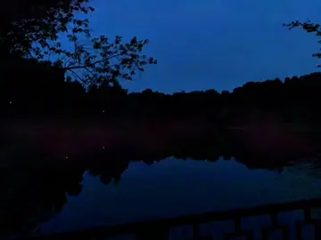 #песня #текстпесни #футажстекстом #футажи #lyrics 