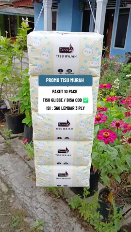 PROMO TISU MURAH // Tisu Glisse isi 10 Pack • 360 Lembar 3 Lapis • Bisa COD ✅️ #tisuviral #tisuglisse #tisumurah #tisupromo #tisulembut 