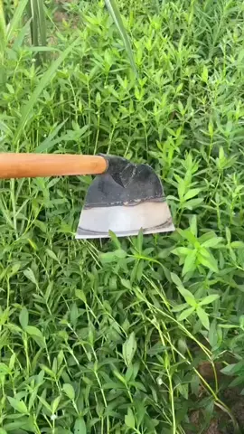 Cuốc sạc cỏ làm cỏ nhanh sạch #dungculamvuon ##cuốc #sacco 