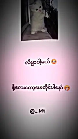 လိမ္မာပ့မယ်လေ👀😝🗿🌚💖💖😝#စတာပါဂျာ👀 #viewတေရှယ်ကျ🌚 #ဆယ်လီတေမှlikeပေးတာလား🥺 #ဒိတစ်ပုတ်လေးတော့fypရောက်ကွာ #fyppppppppppppppppppppppp 