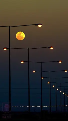 Em bây giờ có hạnh phúc không  #elakhongthe #xuhuong #fyp #chill #nhachaymoingay 