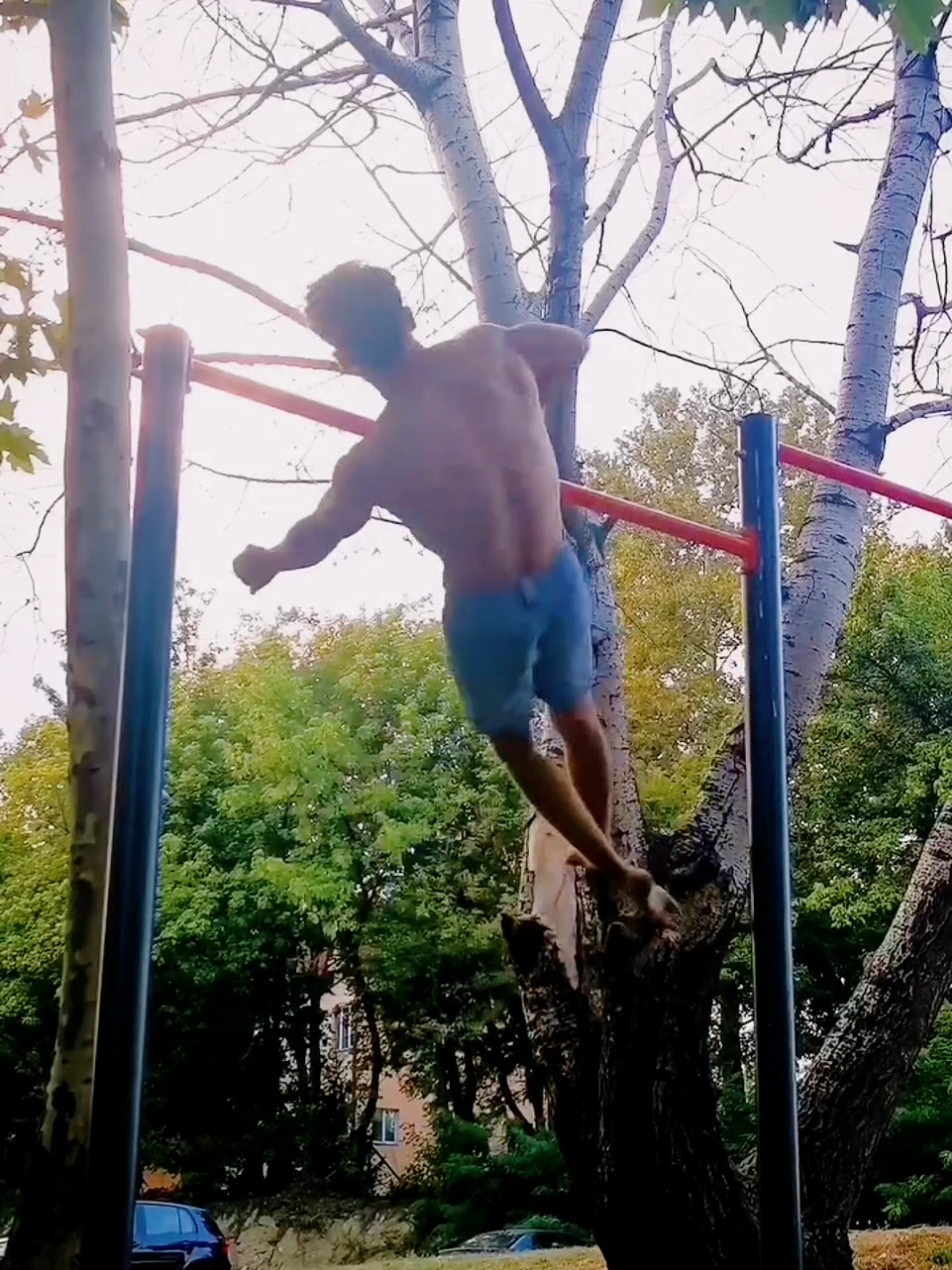 zgibEvi #streetworkout #calisthenics #fypシ #foryoupage #viral 