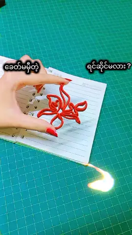 #TrYooN #ပန်းကြယ်သီးနှင့်handmadeသင်တန်း #TrYooNHandMadeCreatorPage❣️ #fypシ゚ #creatorsearchinsights 