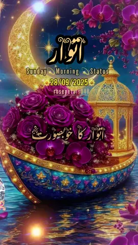 Good Morning صباح الخیر,Sunday,Status,Dua🤲❤️🤲💞🌺🥀🌹🌅.                       #goodmorning#foryoupagе#fyp#standwithkashmire#صباح_الخير 