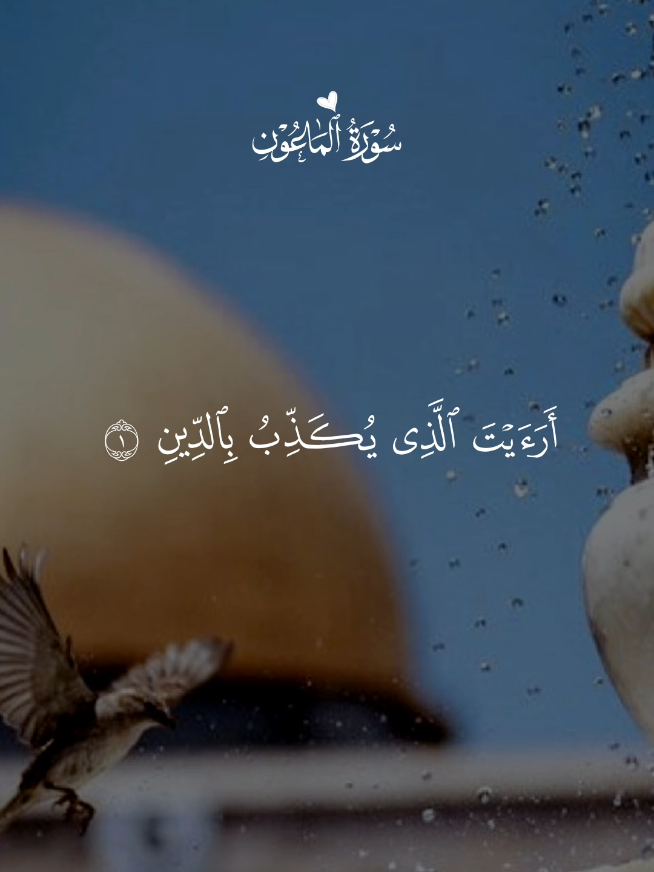 #quranrecitation  #quran_alkarim  #القرآن  #quran 