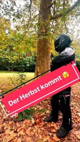 Bitte noch nicht 🥺 😂#bike #motorrad #foreyoupage #bikerlife #bikercommunity 