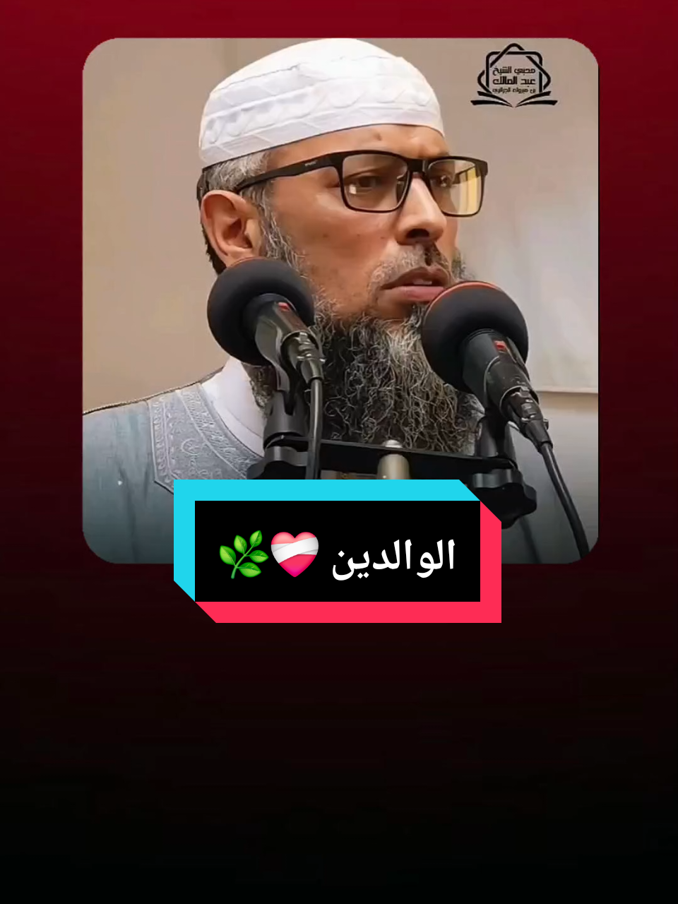 طاعة الوالدين ❤️‍🩹🌿 #قرآن #الجزائر #الولدين_جنة_فوق_الارض  #viral #fyp 