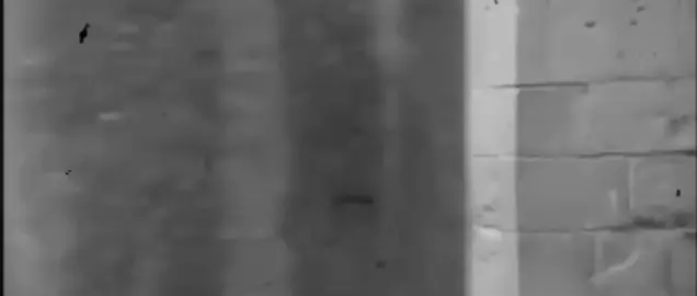 حسرة بگلبي 🤎🎶 .  .  .  .  .  .  .  .  .  .#وردة_البغدادية  #تصاميم_فيديوهات🎵🎤🎬 #اغاني_مسرعه_عراقية_قديمة_حزينه 🎻🇮🇶  #fypシ 🎶 #CapCut 