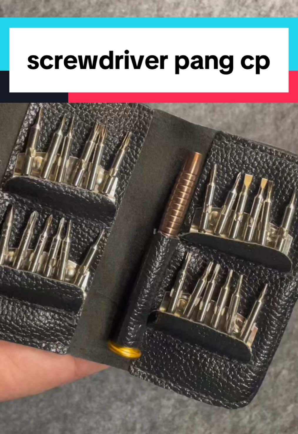 Precision screwdriver set