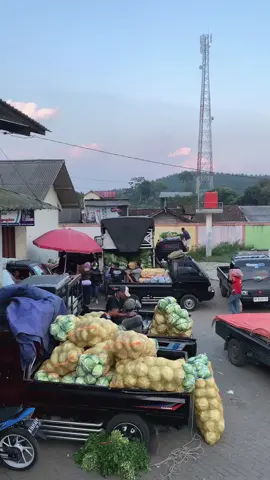 #bakol sayur 