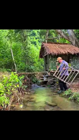 Survival Skills: Building Shelter, Finding Food & Staying Alive in the Harsh Jungle#survival #forest #shelter #treehouse 