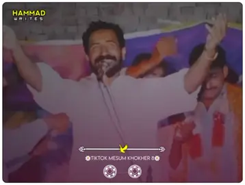 ساڈے لہہ گئے شوق محبتاں دے🥺💔#vioceaffects #foryou #burhan_tv #video_tiktok_viral #mesumkhokher8 