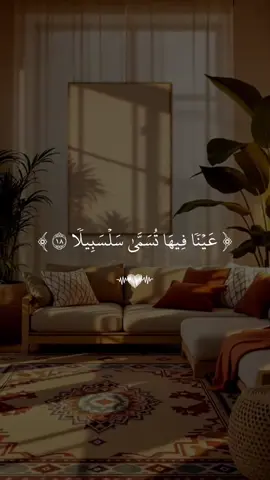 #اكسبلورexplore 