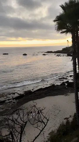 𝒾𝓃 𝑜𝓊𝓇 𝑜𝓌𝓃 𝓁𝒾𝓉𝓉𝓁𝑒 𝓌𝑜𝓇𝓁𝒹 #fypシ゚viral #fyp #fypシ #foryoupage #foryou 