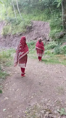 #shazidi #viralvideo #viraltiktok #foryoupage #foryou 