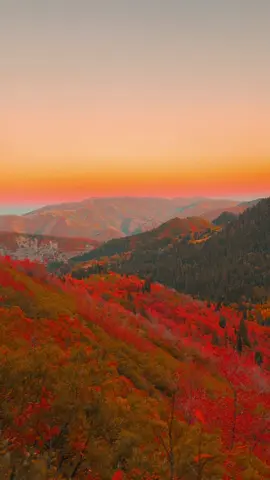 #Utah #fyp #explore #nature #Alpine