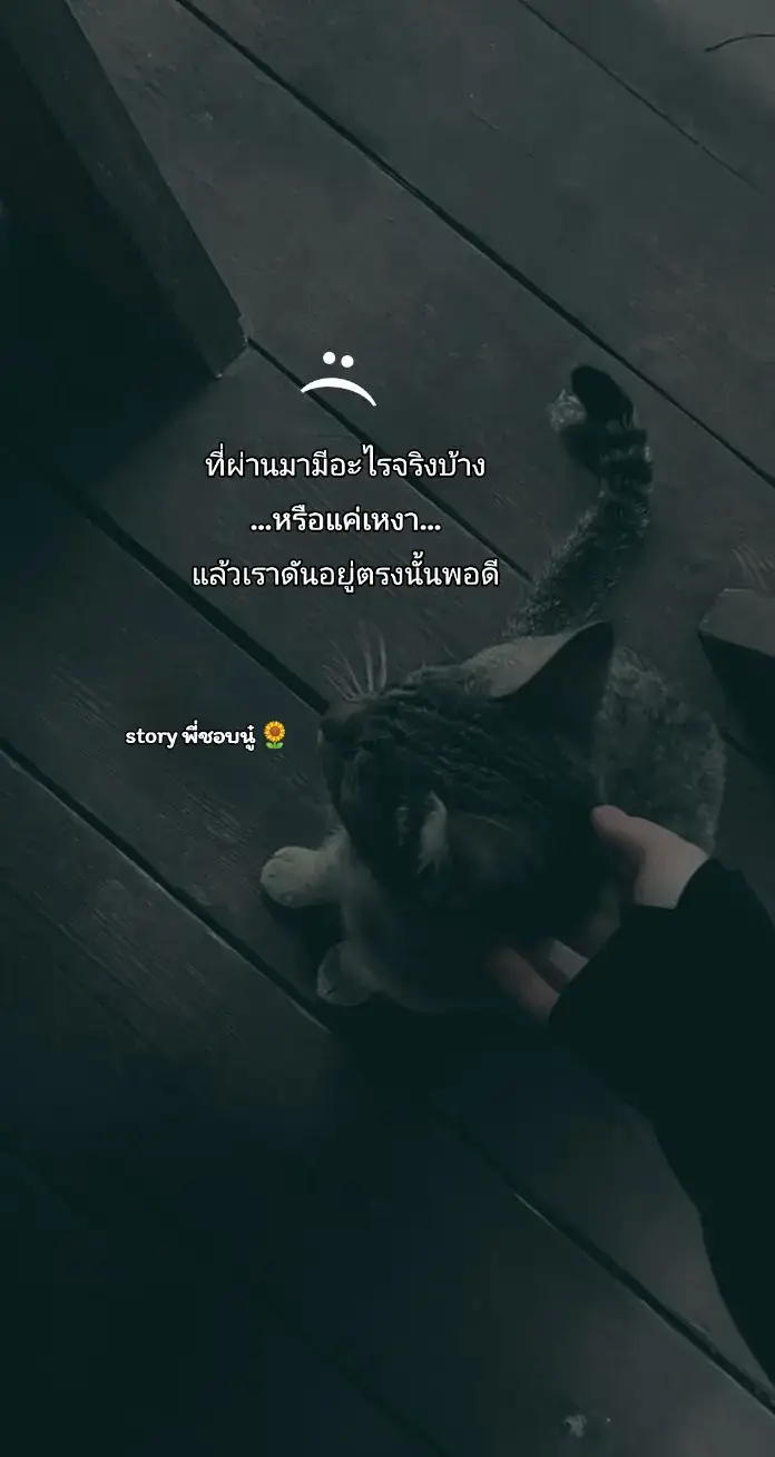 #ไม่ใช่ที่รัก #เธรดเศร้า #สตอรี่ความรู้สึก #ยืมลงสตอรี่ได้ #ฟีดดดシ 