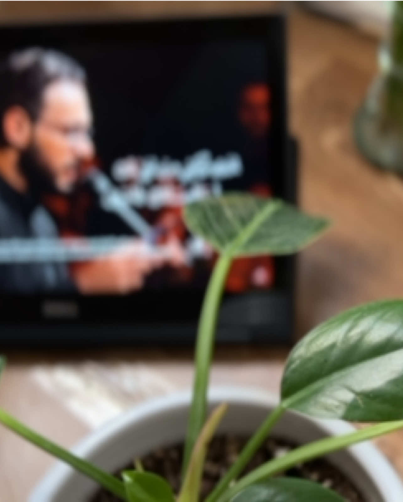 #اكسبلورexplore #explorepage #fypシ゚ #foryoupage 