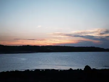 التراك ده أيقونيك والله 🥀 #حاله #عفروتو #وفضلت_ماشي_بحاول_انسي_حد_مبنسهوش #Afroto #Viral 