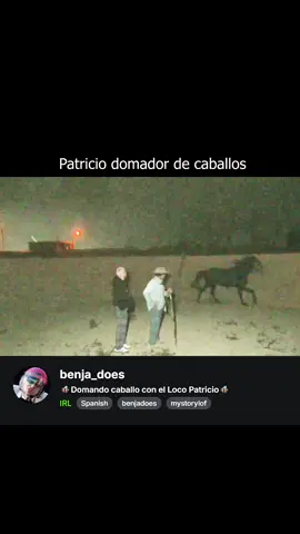 Patricio domador de caballos #benjadoes #caballostiktok #padresehijos