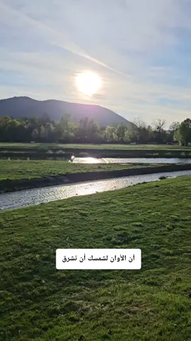 #اكسبلور #اكسبلورexplore #مساء_الخير 