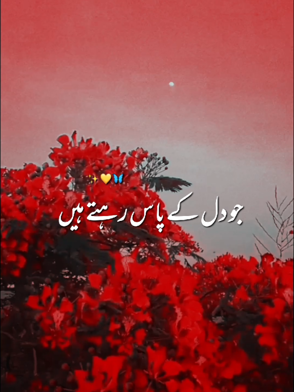 Jo Dil ka pas rahta hai wo Dil q Tor jate hai#song #romanticsong #fullviralvideo💯💯 #magicmotion #1millionaudition 