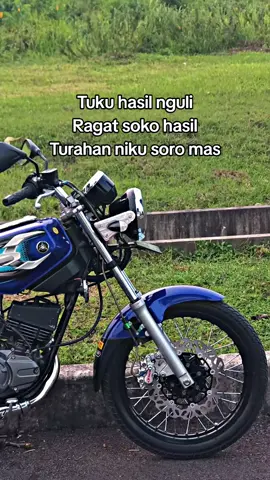 #fyppppp #rxkingnusantara #rxking135cc #rxkingindonesia #rxking 