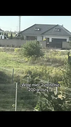 Rozumiesz?.. 