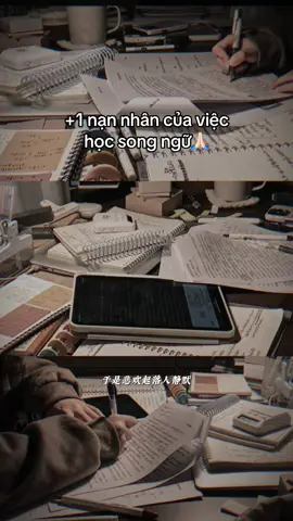 #CapCut #study #studywithme #songngu #tiengtrung 