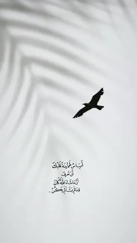 #كلام_من_القلب #❤️ #🦋 #خواطر #🌹 