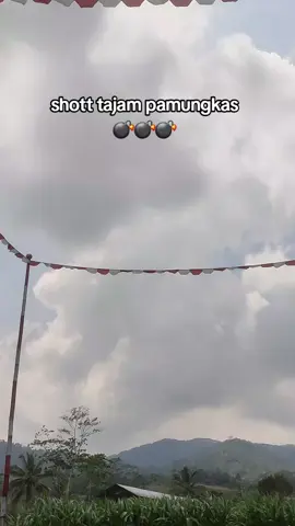 pamungkas super jedorr💣 #merpatikolong #merpatikolongbebas #merpatikolong  #pmtinasional #pmtibandung 