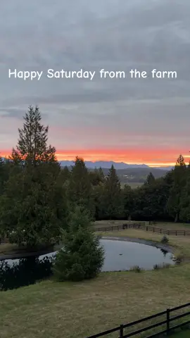 Good morning from the farm #blackhorsefarm #sunrise #goodmorning 