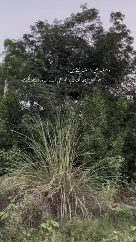 #hopeso🫠🌿…..