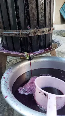 😁🍁🍇🍇🍷#gagauzia #гагаузия #осень #шарапчик🍇#вино #виноград #реком #рекоминдации_топ_рек 